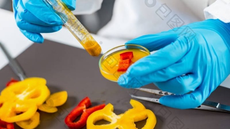 进口零食批发代理加盟